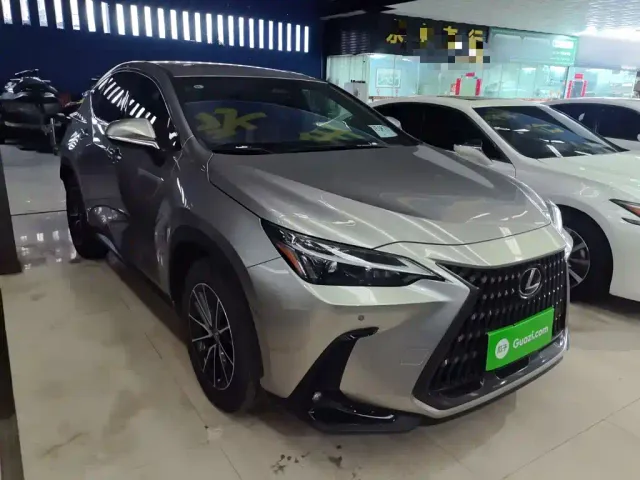 Lexus NX — Фото автомобиля 20