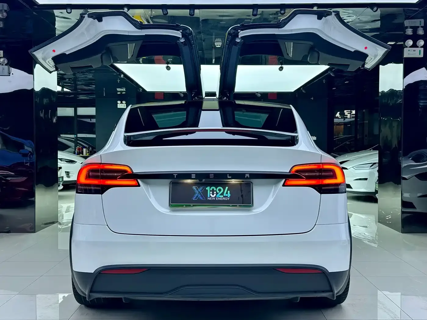Tesla Model X 2023 Dual Motor All-Wheel Drive Edition — Фото автомобиля 6