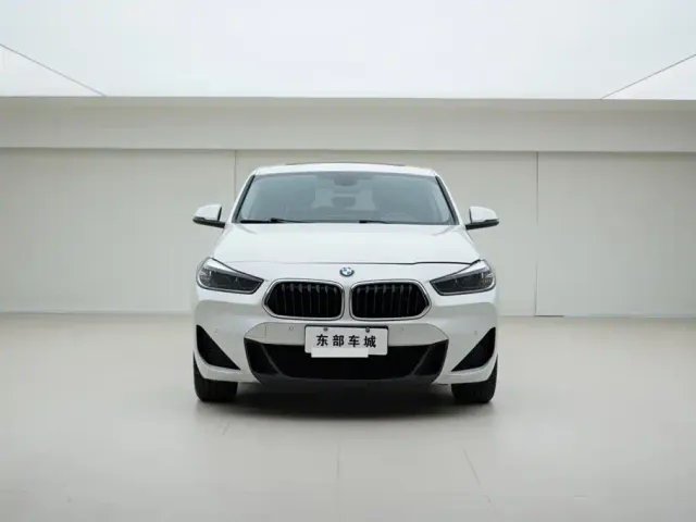 BMW X2 — Фото автомобиля 2