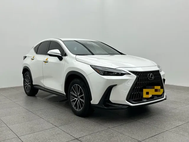 Lexus NX — Фото автомобиля 3