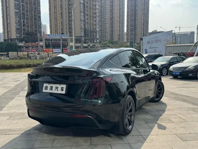 Tesla Model Y — Фото автомобиля 7