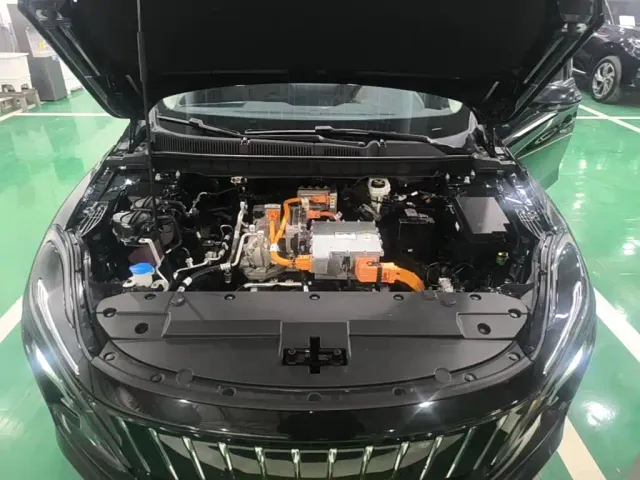 Hongqi E-QM5 — Фото автомобиля 19