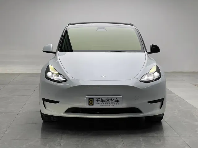Tesla Model Y — Фото автомобиля 2