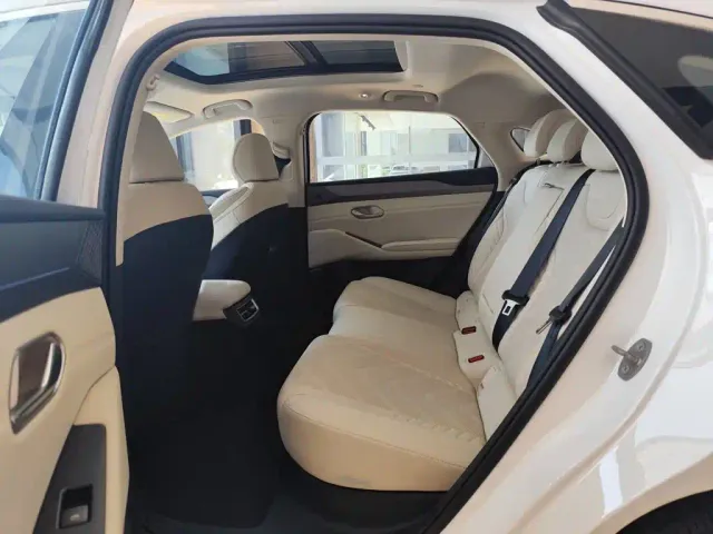 BYD Qin L — Фото автомобиля 18