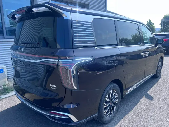 Hongqi HQ9 PHEV — Фото автомобиля 9