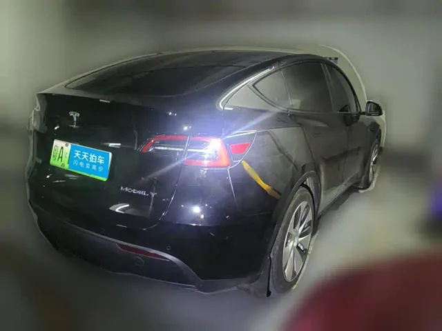 Tesla Model Y — Фото автомобиля 2