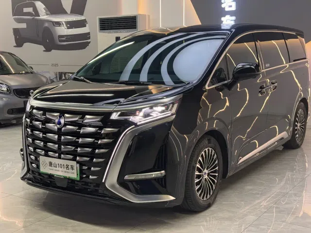 Фотография автомобиля — Denza D9