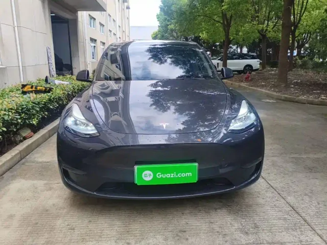 Tesla Model Y — Фото автомобиля 2
