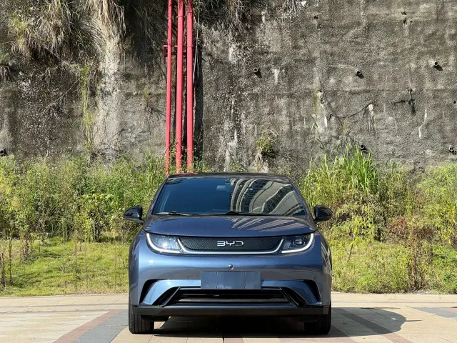 BYD Dolphin — Фото автомобиля 2