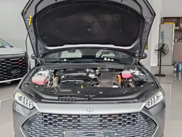 BYD Qin PLUS — Фото автомобиля 3