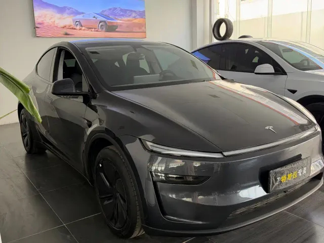 Tesla Model Y — Фото автомобиля 3