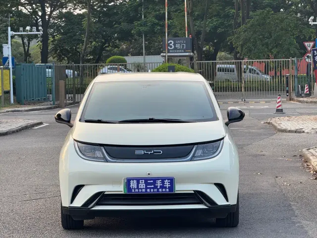 BYD Dolphin — Фото автомобиля 2