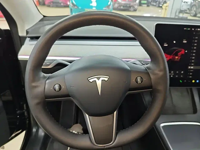 Tesla Model Y — Фото автомобиля 10
