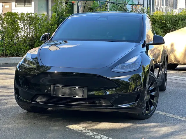 Tesla Model Y — Фото автомобиля 3