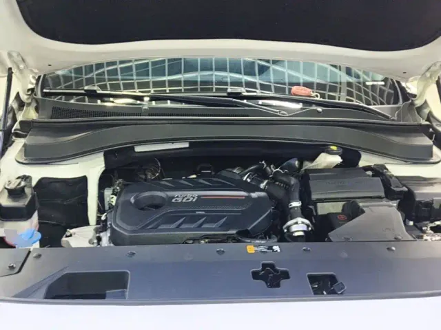 Hyundai Santa Fe — Фото автомобиля 19
