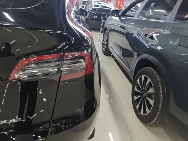 Tesla Model Y — Фото автомобиля 7