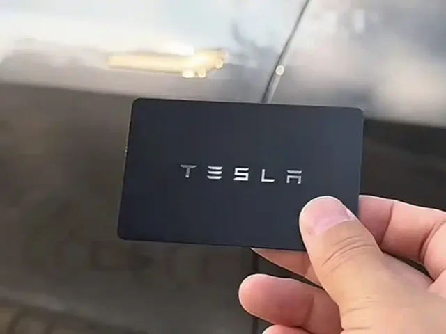 Tesla Model Y — Фото автомобиля 8
