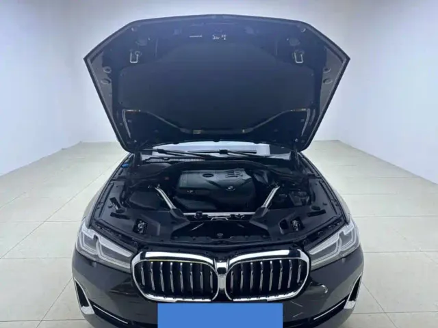 BMW 5 Series — Фото автомобиля 10