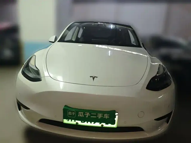 Tesla Model Y — Фото автомобиля 23