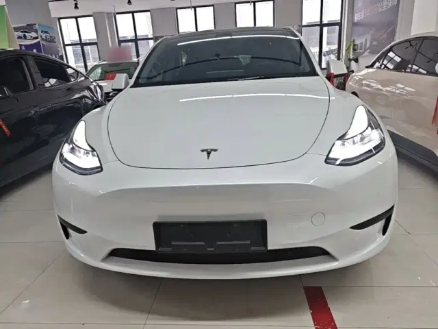 Tesla Model Y — Фото автомобиля 2