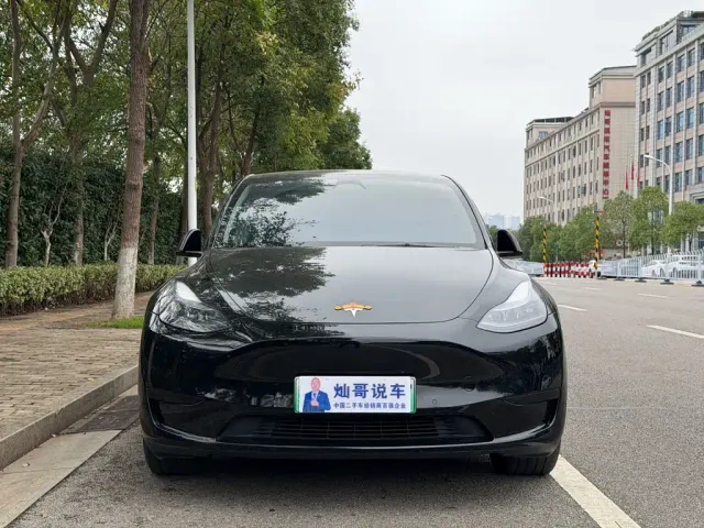 Tesla Model Y — Фото автомобиля 2