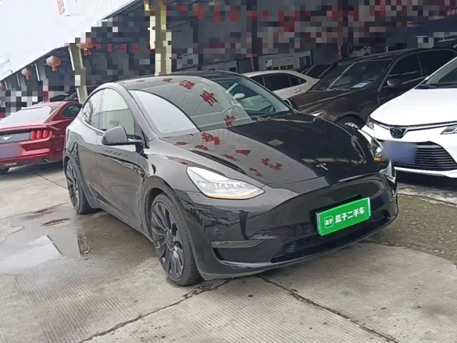 Tesla Model Y — Фото автомобиля 3