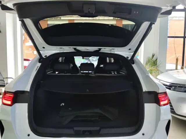 BYD Song PLUS — Фото автомобиля 18