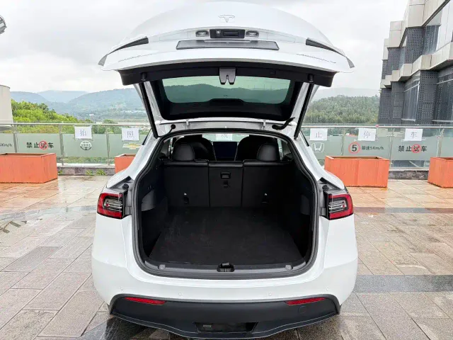 Tesla Model Y — Фото автомобиля 13