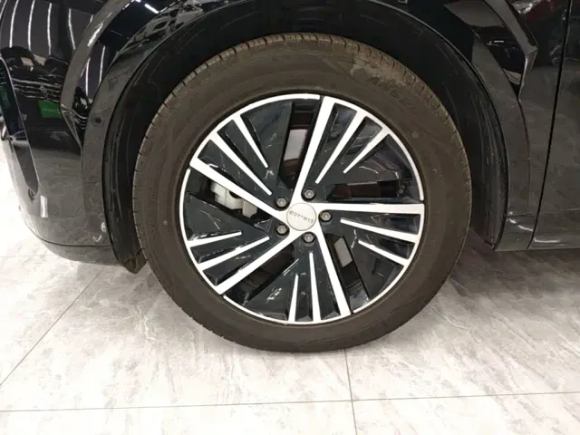 Lynk & Co Lynk & Co 08 EM-P 2023 220km 4WD Performance Halo — Фото автомобиля 22
