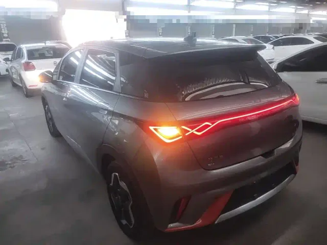 BYD Dolphin — Фото автомобиля 4