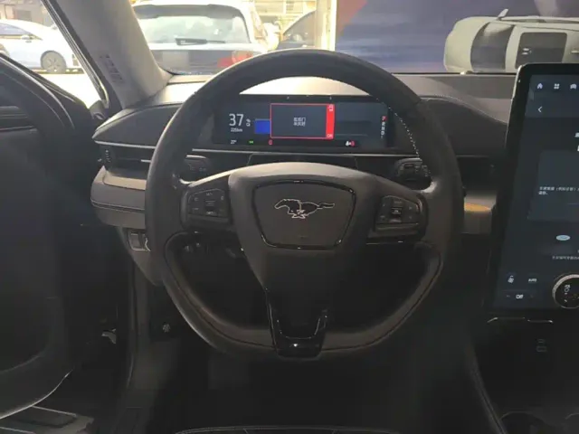 Ford Mustang Mach-E — Фото автомобиля 10