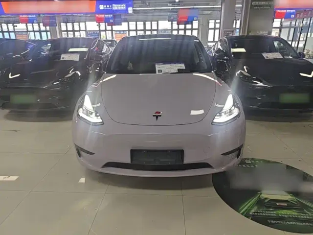 Tesla Model Y — Фото автомобиля 2