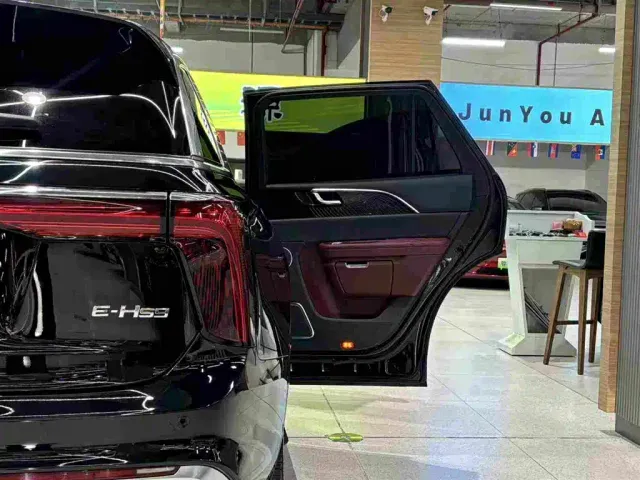 Hongqi E-HS9 — Фото автомобиля 17