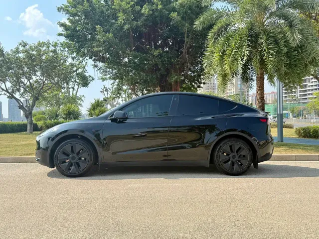 Tesla Model Y — Фото автомобиля 3