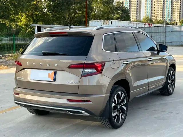 Skoda Karoq — Фото автомобиля 11