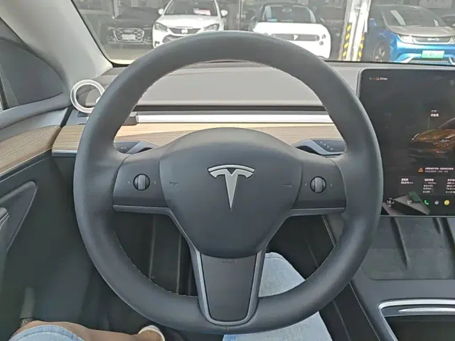 Tesla Model Y — Фото автомобиля 6