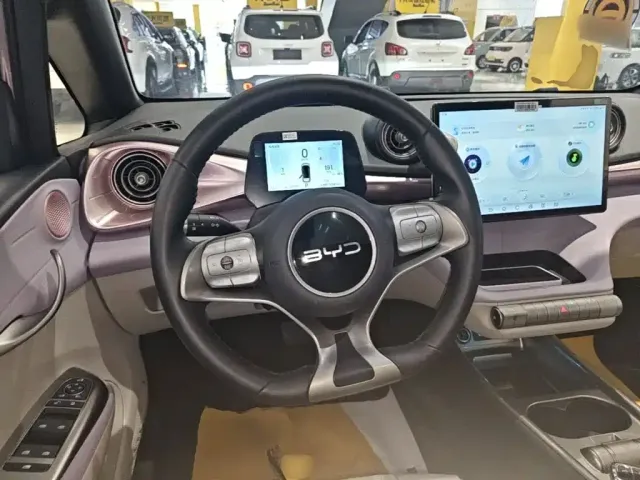 BYD Dolphin — Фото автомобиля 10