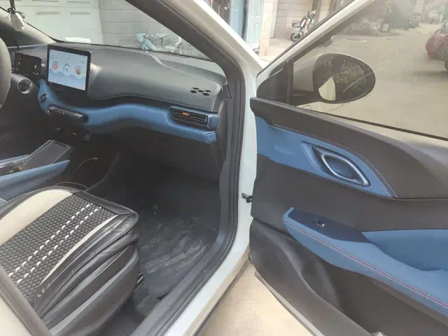 BYD Seagull 2024 Glory Edition 305km Vitality Edition — Фото автомобиля 19