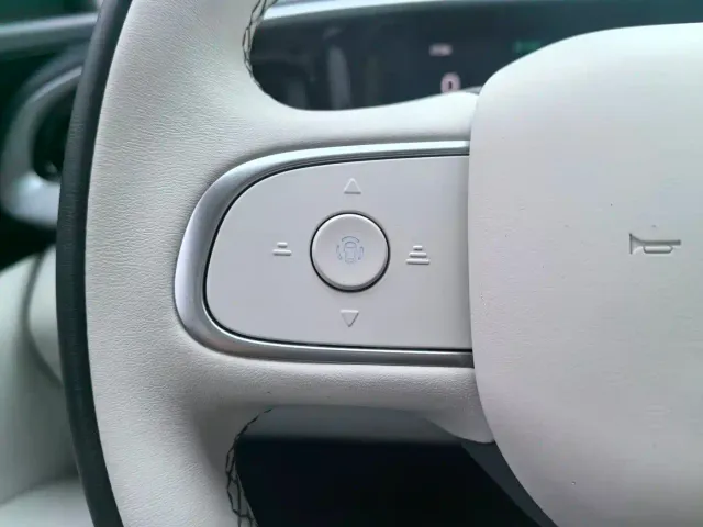 Geely Starry Wish — Фото автомобиля 18