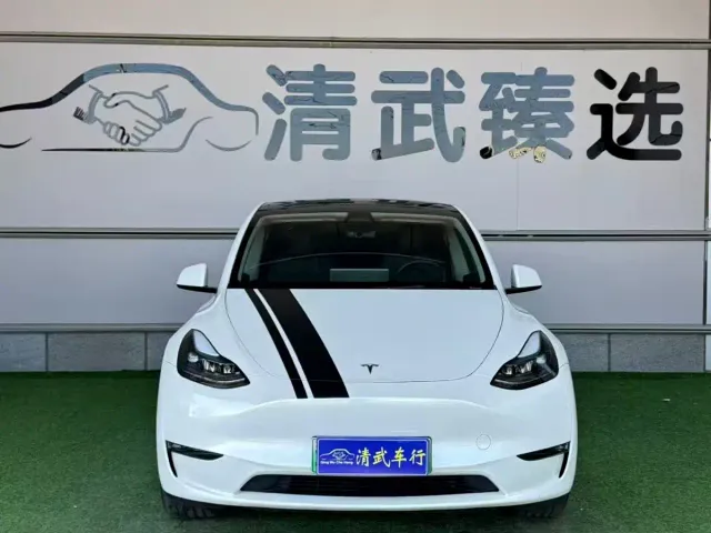 Tesla Model Y — Фото автомобиля 3