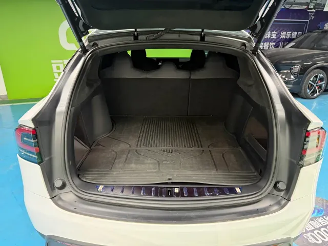Tesla Model X — Фото автомобиля 23