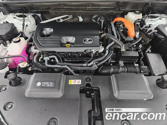 Lexus NX 2nd Gen — Фото автомобиля 6
