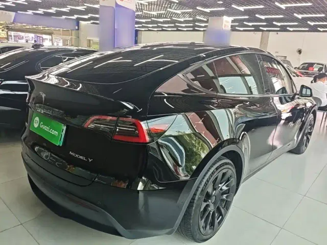Tesla Model Y — Фото автомобиля 6