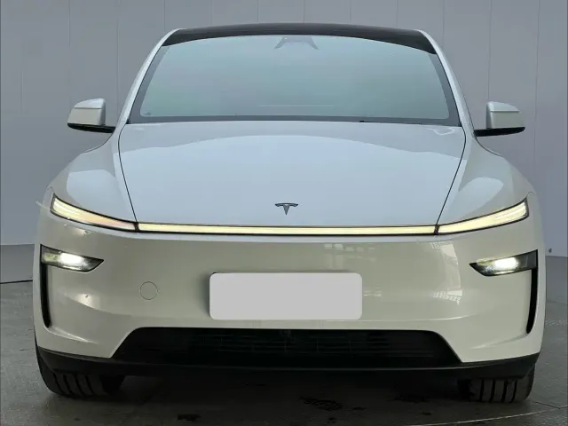 Tesla Model Y — Фото автомобиля 2