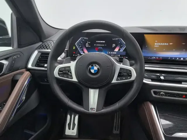 BMW X6 — Фото автомобиля 11