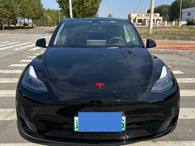 Tesla Model Y — Фото автомобиля 2