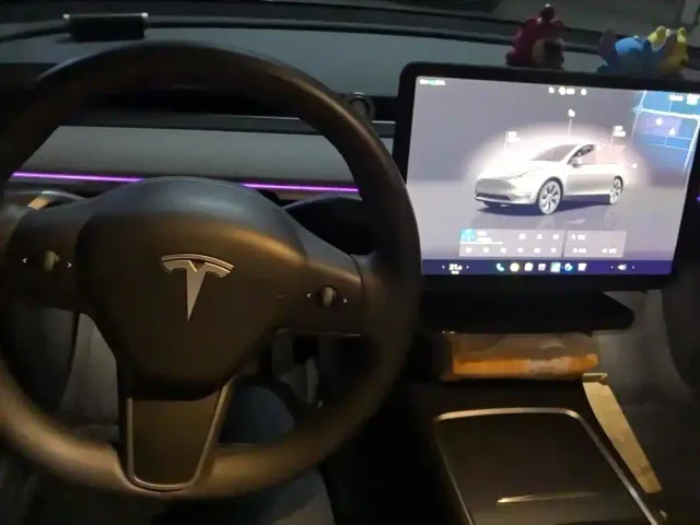 Tesla Model Y — Фото автомобиля 12
