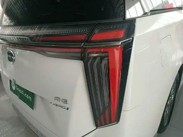 GAC Trumpchi M8 — Фото автомобиля 7