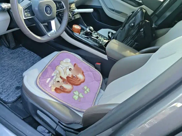 BYD Qin PLUS — Фото автомобиля 14