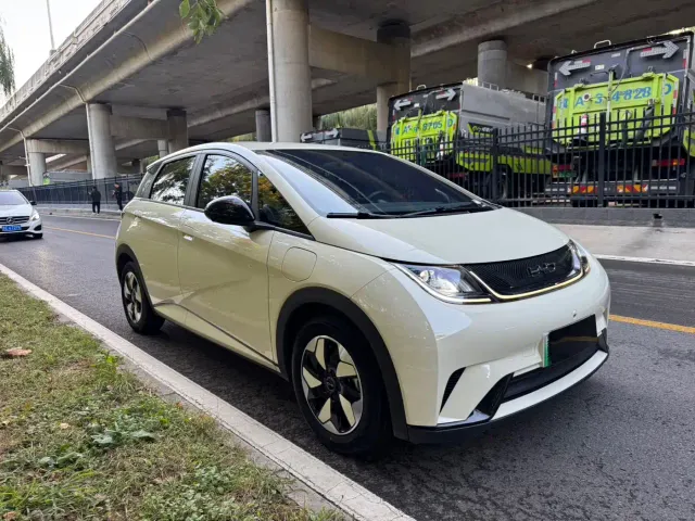 BYD Dolphin — Фото автомобиля 2